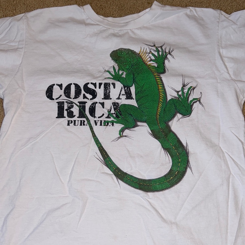 Mens M Graphic Tee- Iguana Costa Rica